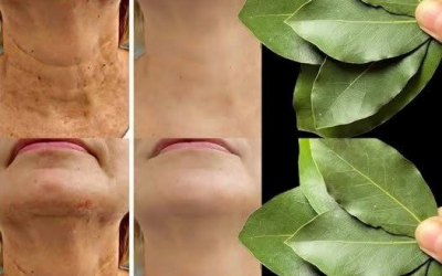 L’alloro è 100.000 volte più potente del Botox? | Un rimedio naturale contro le rughe, anche a 70 anni!