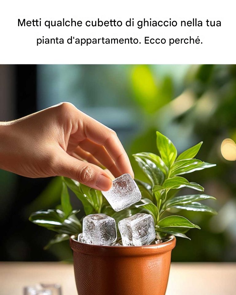 Ho visto questo trucco l’altro giorno e l’ho trovato geniale.