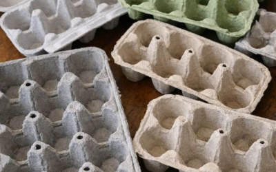 Non buttate via subito le vecchie vaschette per il ghiaccio. Ecco 10 modi intelligenti per riutilizzarle.