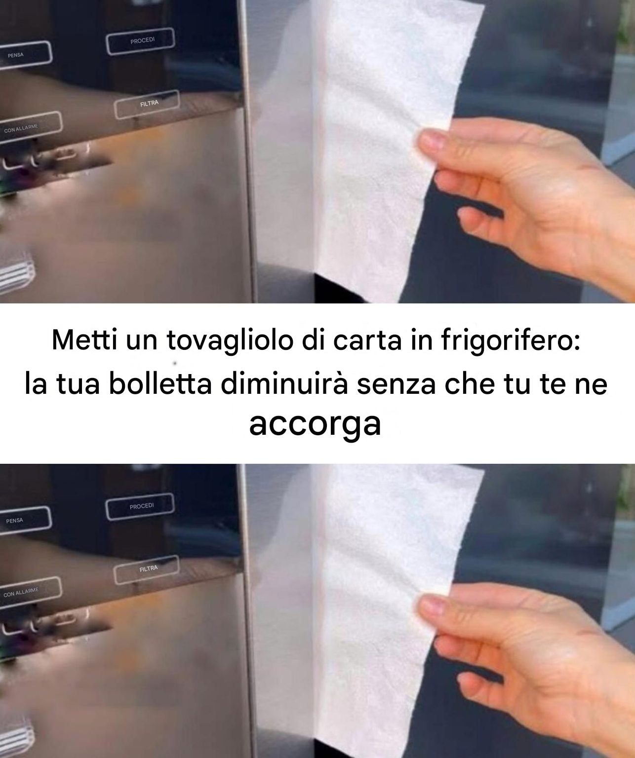 Metti un tovagliolo di carta in frigorifero: la bolletta si ridurrà senza che tu te ne accorga.