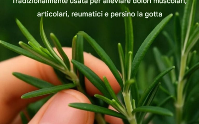 Come coltivare questa pianta in abbondanza in casa.