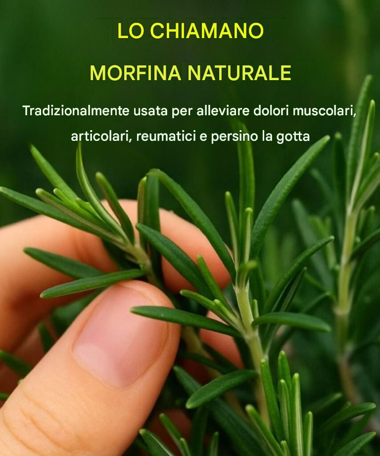 Come coltivare questa pianta in abbondanza in casa.
