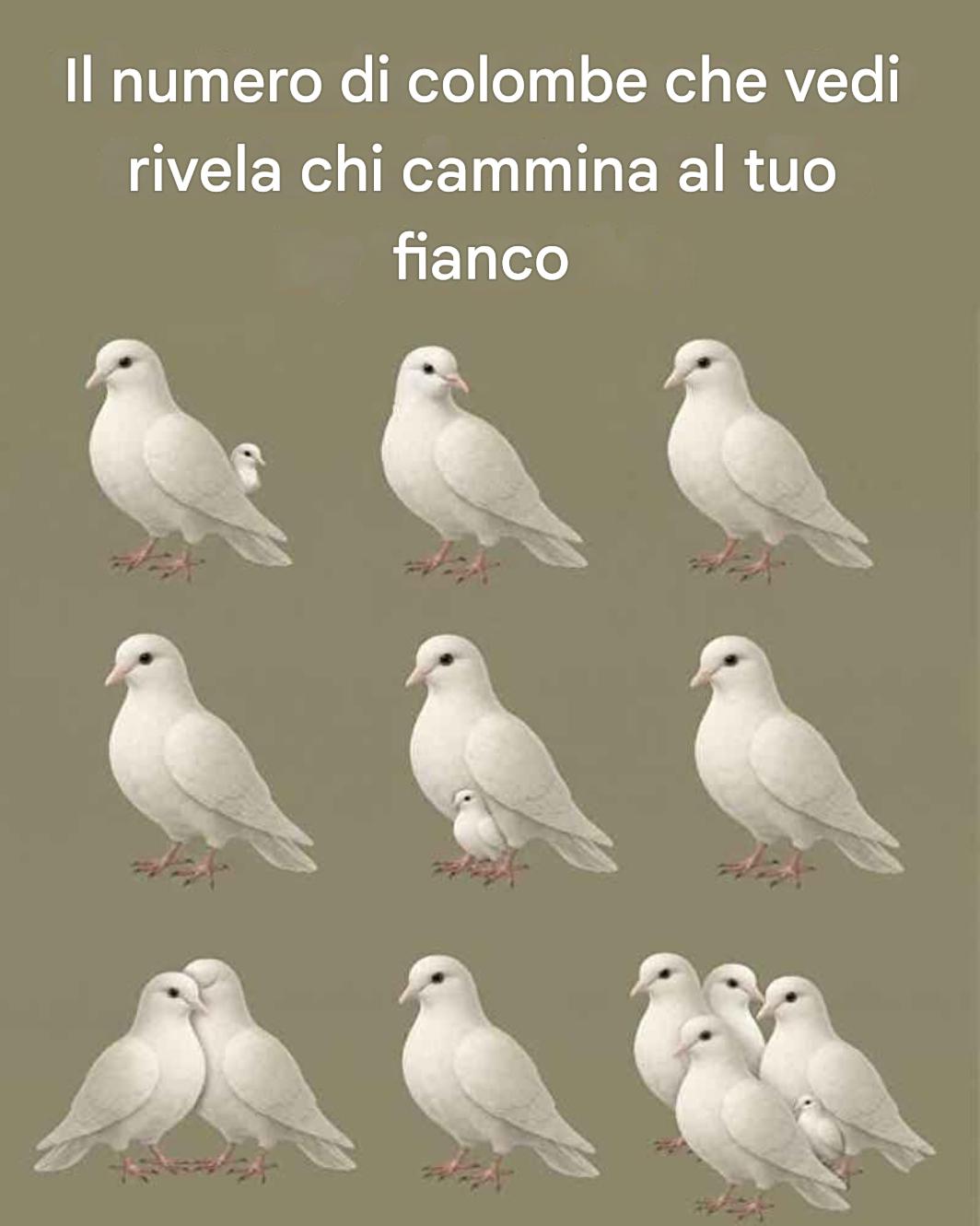 Il numero di colombe che vedi rivela chi cammina al tuo fianco