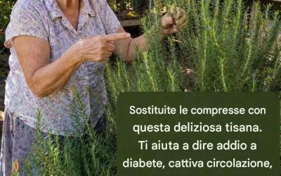 Sostituisci le pillole con questa deliziosa tisana. Ti aiuterà a dire addio a diabete, cattiva circolazione, colesterolo alto, pressione alta e gambe stanche. Ti svelo la ricetta: è semplicissima.
