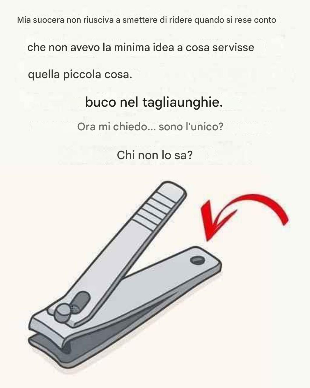 Il “piccolo foro rotondo” del tagliaunghie ha uno scopo particolare e fondamentale!