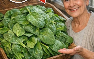 Uccisore di batteri: elimina la morte nell’intestino. Questa pianta purifica l’intestino e il fegato. Ti darò una ricetta per un semplice ok.
