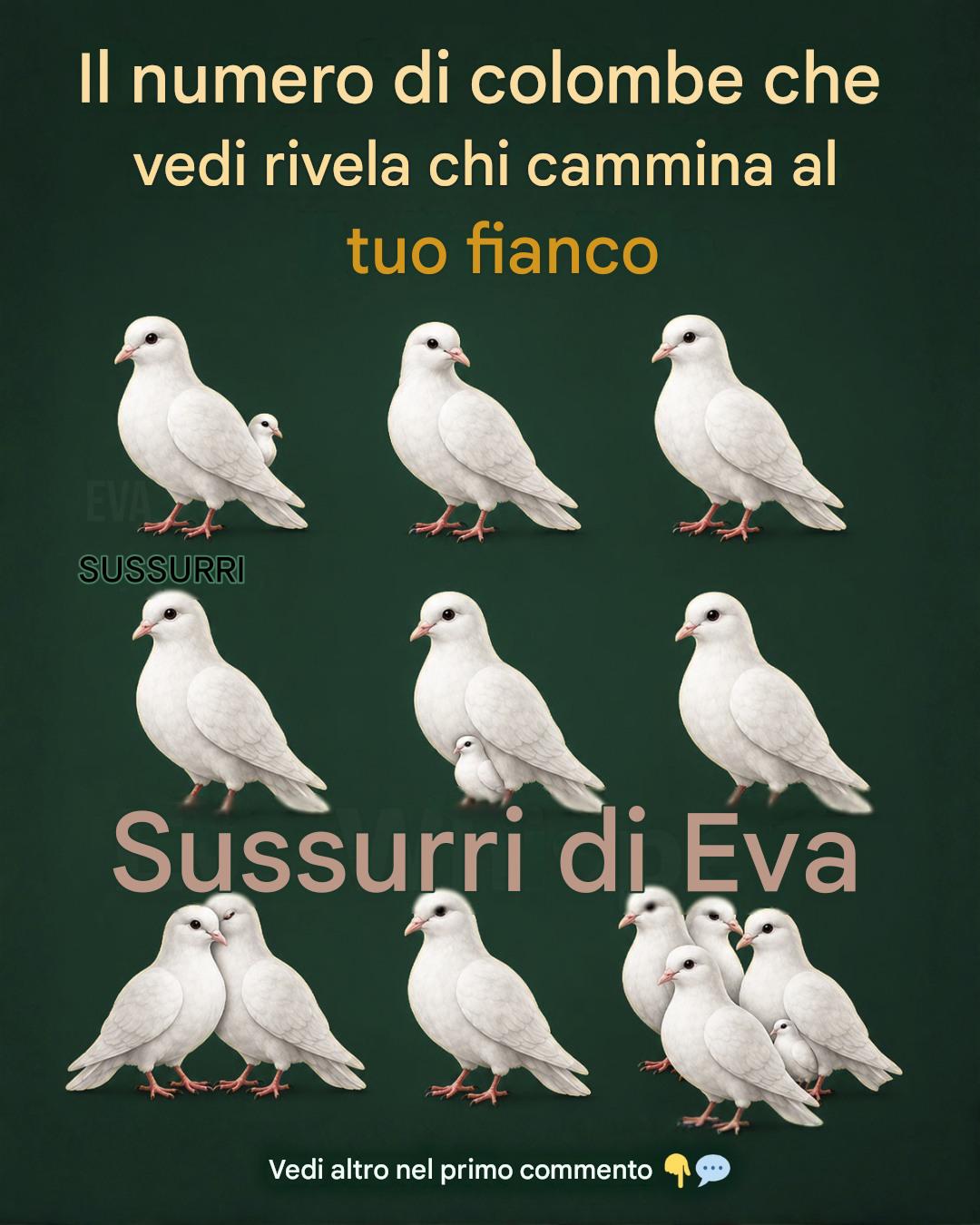 Il numero di colombe che vedi per prime rivela chi cammina al tuo fianco