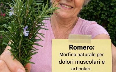 Romero: Il Rimedio Naturale Che Tutti Dovrebbero Conoscere