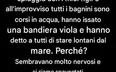 Avete visto una bandiera viola sulla spiaggia? Ecco cosa significa davvero e perché nessuno dovrebbe ignorarla.